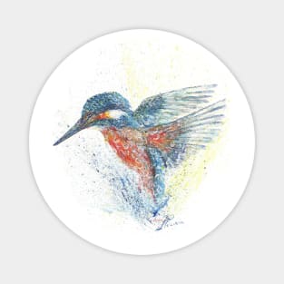 The Shroppie Kingfisher Magnet